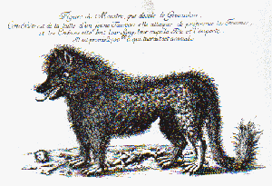 la bête du Gévaudan chambres d'hôtes "les fourneaux" sur le chemin des pèlerins de Saint-Jacques à Saugues